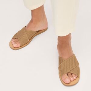Everlane Shoes 5.5